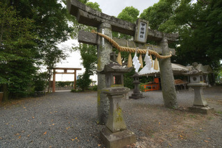 DSC_3333.jpg