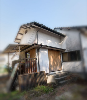 p2.jpg